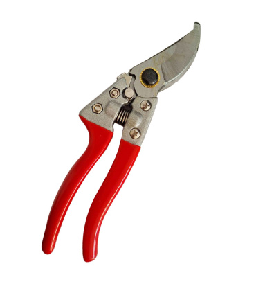 قیچی باغبانی 20میلیمتر تات TAT