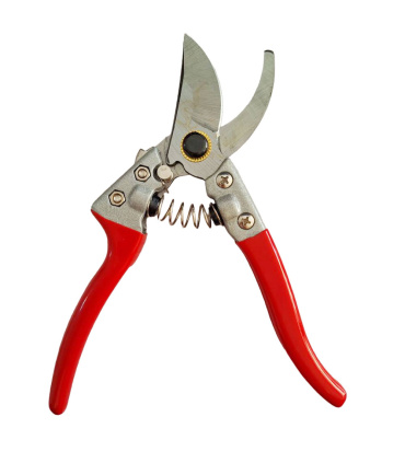 قیچی باغبانی 20میلیمتر تات TAT