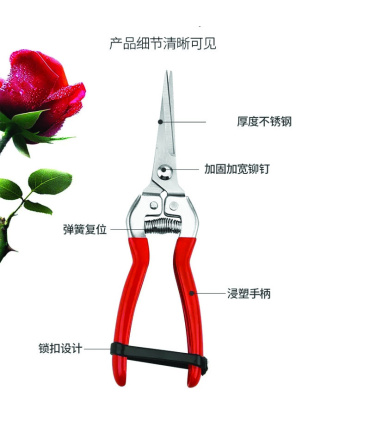 قیچی میوه بر باغبانی موبینس MOBINES