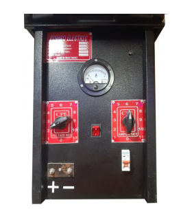 شارژر باطری ماشین پیشرو الکتریک 10 تایی